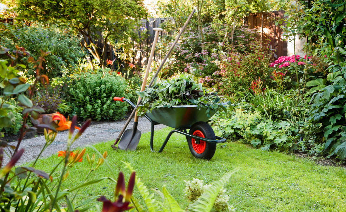 Gartenarbeiten mit Schubkarre und Gartengeräten in einem gepflegten Privatgarten